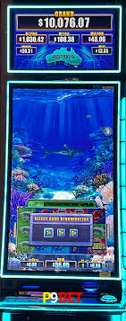 Bônus Diários P9Bet